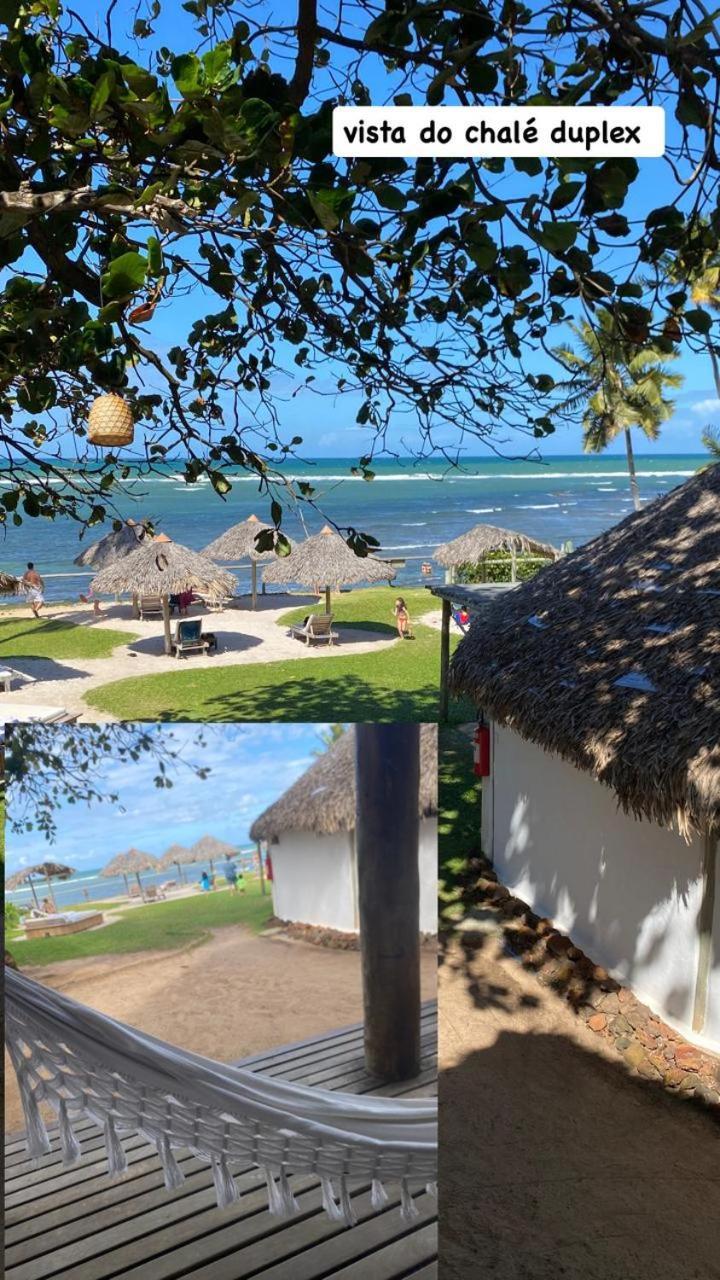 Pousada Farol Das Tartarugas Praia do Forte Luaran gambar